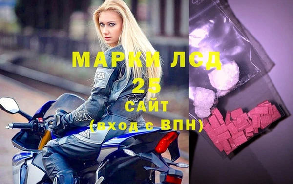 ГАЛЛЮЦИНОГЕННЫЕ ГРИБЫ Новозыбков