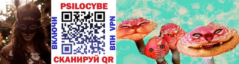 Псилоцибиновые грибы Cubensis  Ступино 