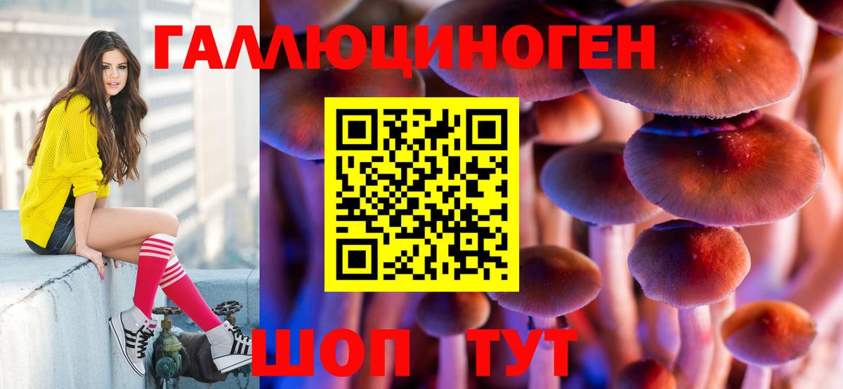 Ступино  Псилоцибиновые грибы Psilocybine cubensis  Вход с VPN 